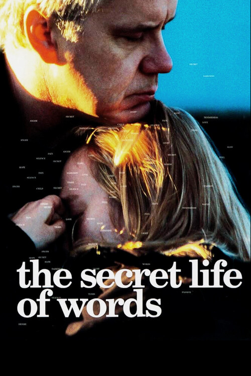 Poster The Secret Life of Words (2005)