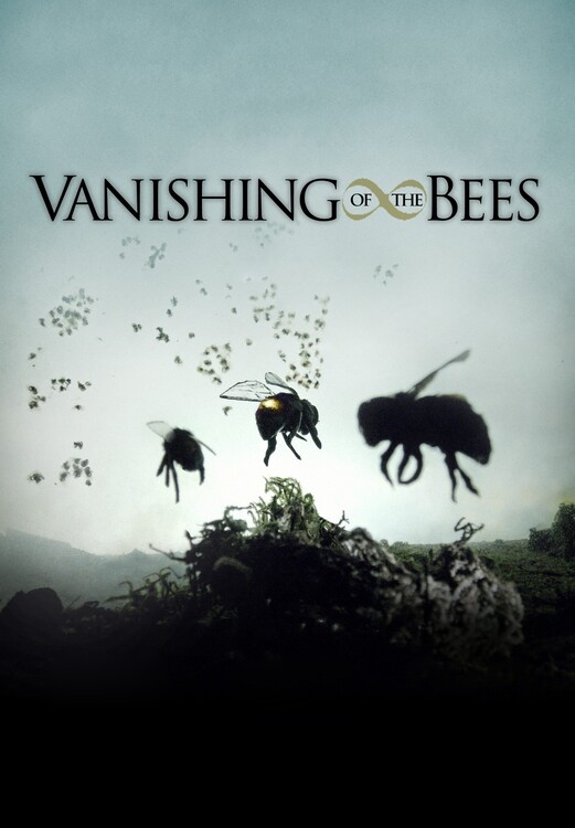 Poster Vanishing of the Bees (2009)