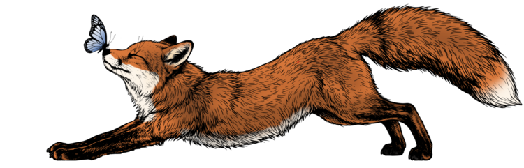 T-shirt Fox and Butterfly