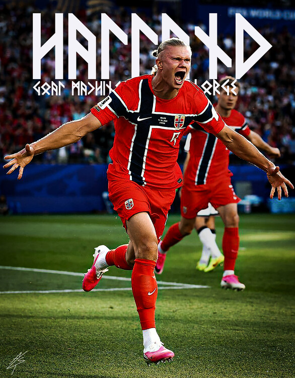 Poster The last real Viking
