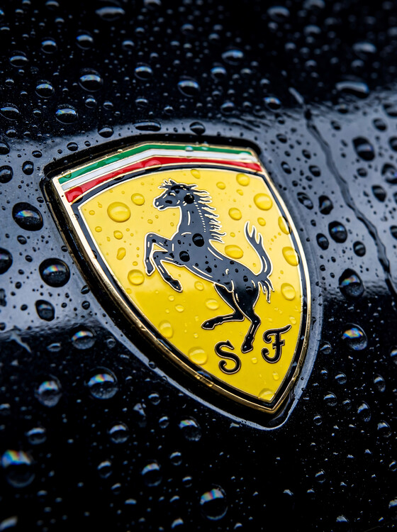Bild auf Leinwand Ferrari Scudetto — Rain-Kissed Prancing Horse