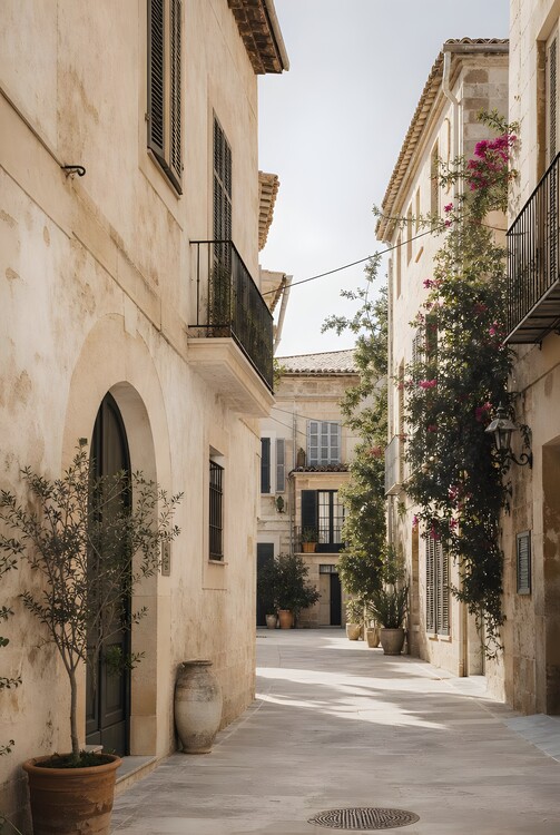 Плакат The Hidden Square | Mediterranean Plaza Wall Art