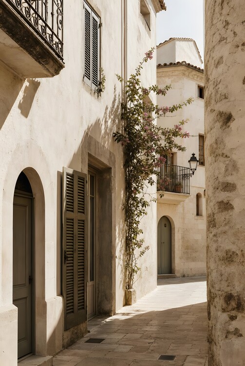 Плакат Sunlit Passage | Mediterranean Alley Wall Art