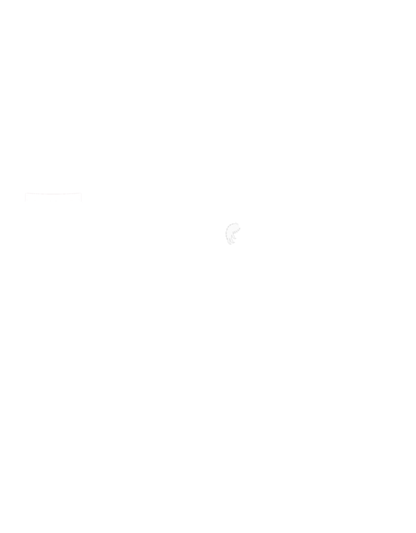 Maglietta Dungeon Crawler label