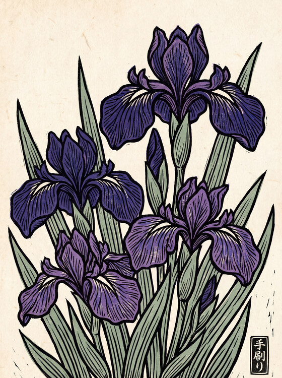 Плакат Ayame, the Noble Iris of Early Summer | Japanese Print