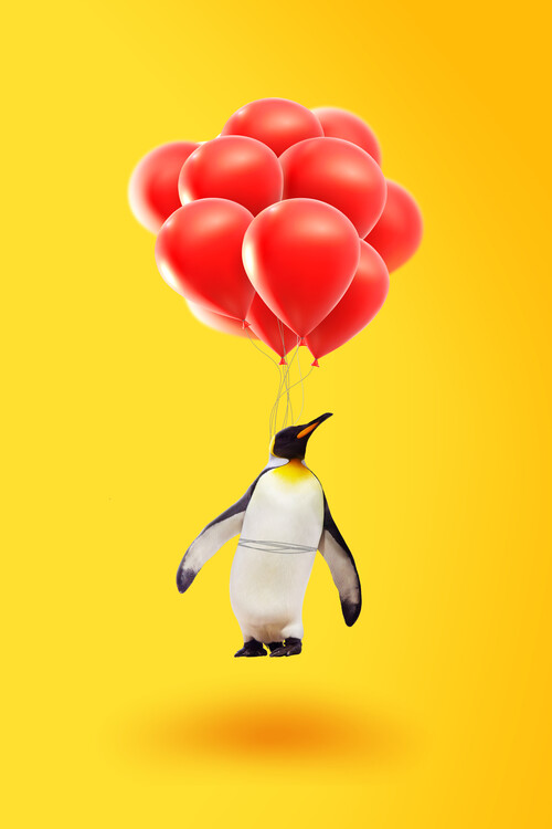 Poster Artem Pozdniakov - Penguin Balloons