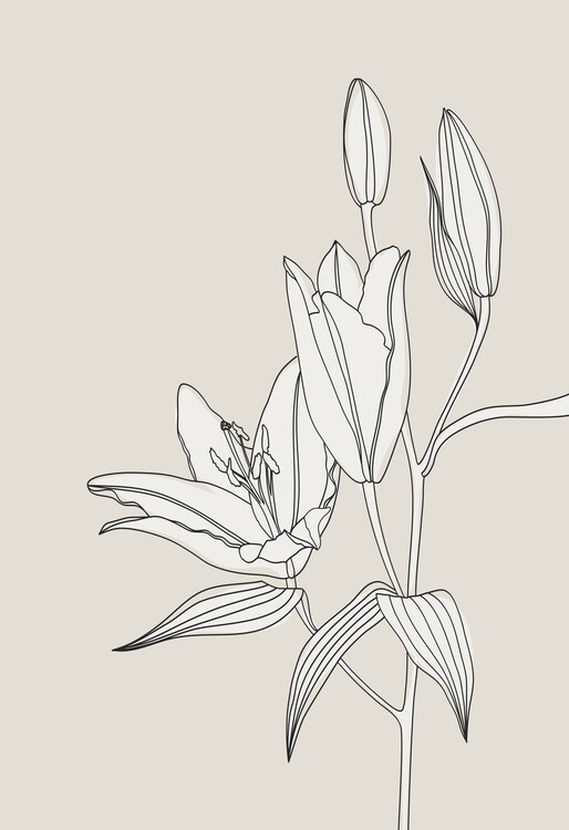 Плакат Elegant Lily Bloom