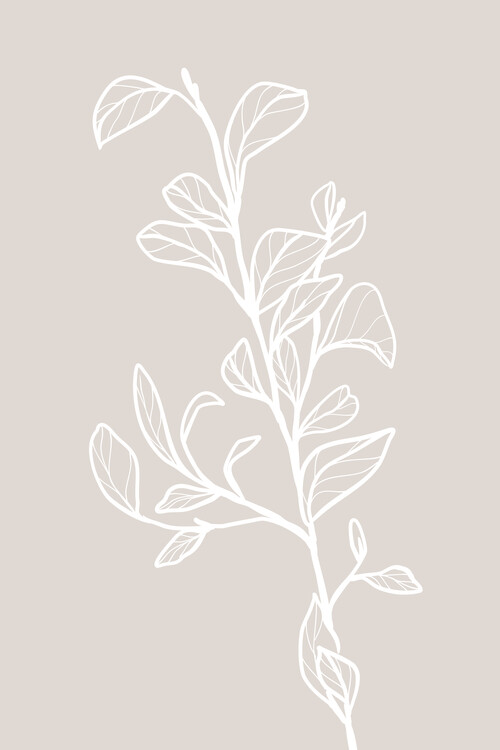 Плакат Elegant Botanical Line Art