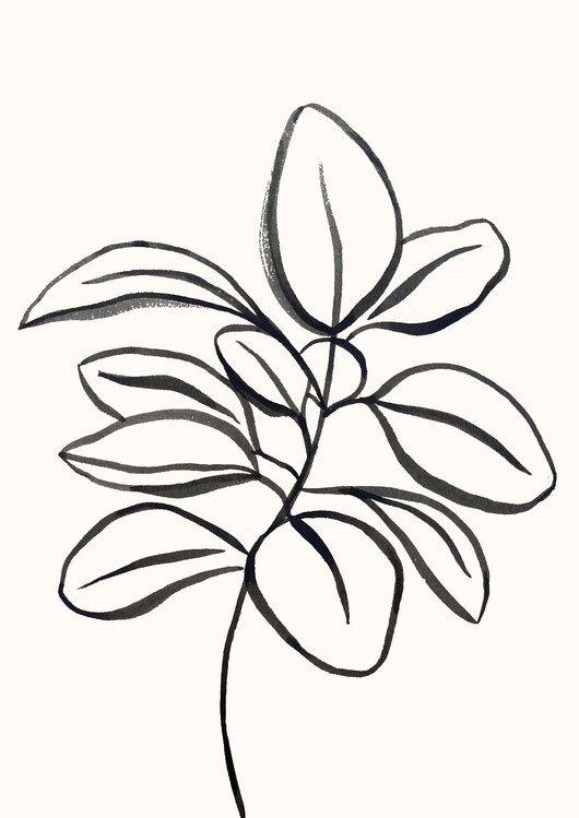 Plakat Elegant Botanical Drawing