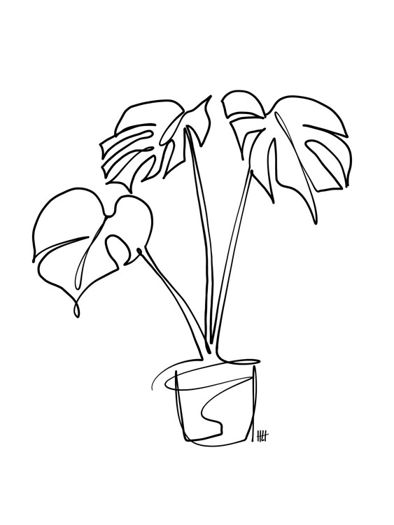 Plakat Monstera Line Art