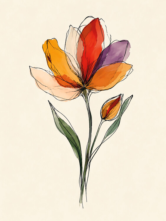 Plakat Radiant Tulip Bloom