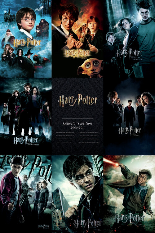 Canvas Print Harry Potter - Collector's Edition