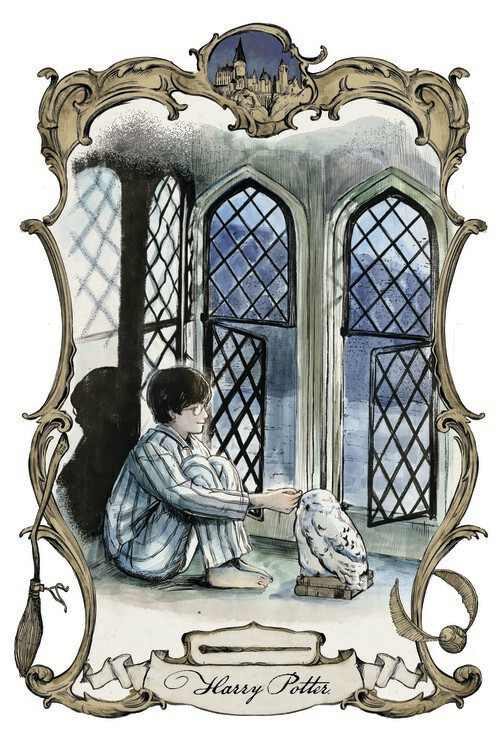 Poster Harry Potter - Harry och Hedwig