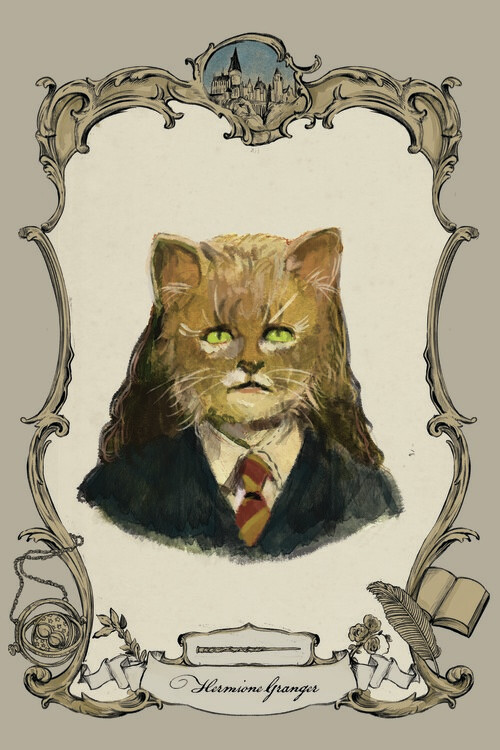 Poster Harry Potter - Polyjuice Cat-astrophe