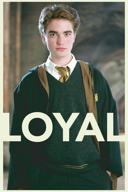 Obraz na plátně Harry Potter - Cedric Diggory