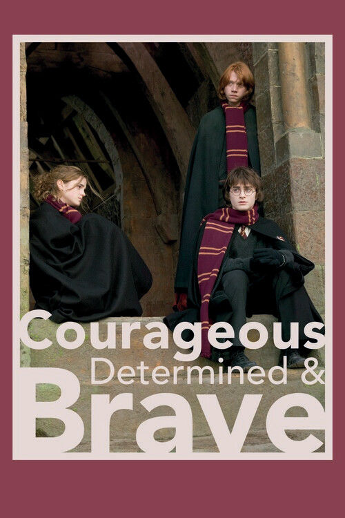 Poster Harry Potter - Golden Trio