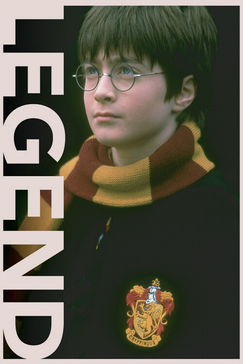 Bild auf Leinwand Harry Potter - Legend