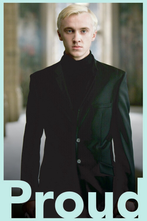 Obraz na plátně Harry Potter - Draco Malfoy