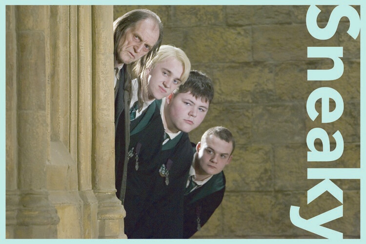 Obraz na plátně Harry Potter - Sneaky
