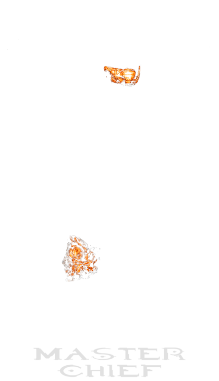 Camiseta Halo: The Master Chief