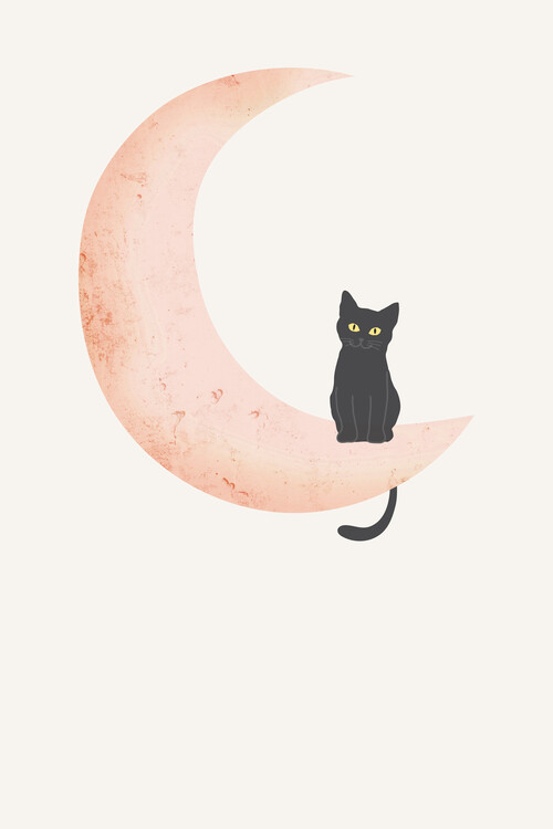 Canvas Print Black Cat On Moon