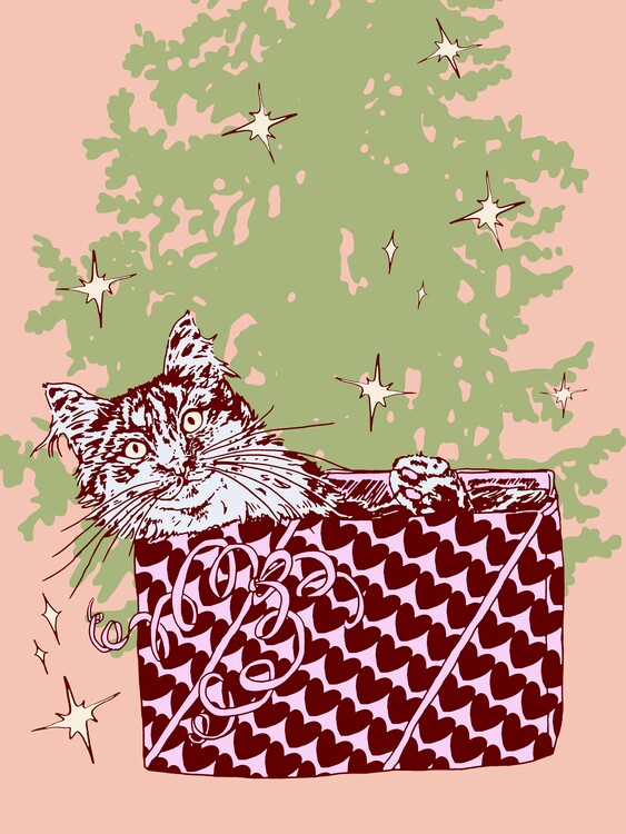 Canvas Print Christmas Cat Surprise