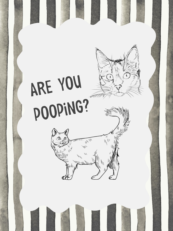 Canvas Print Are You Pooping Cat