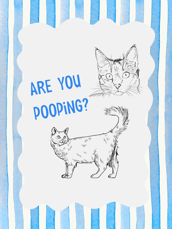 Canvas Print Are You Pooping Cat