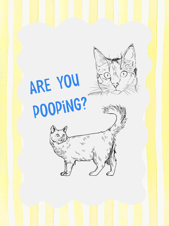 Canvas Print Funny Pooping Cats