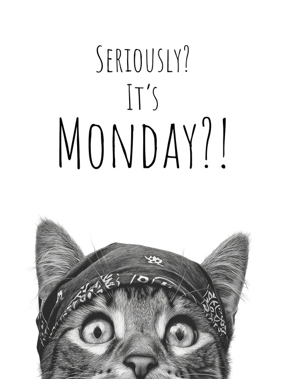 Canvas Print Monday Cat Surprise