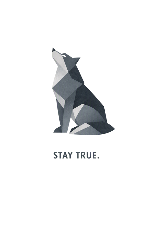 T-shirt Wolf