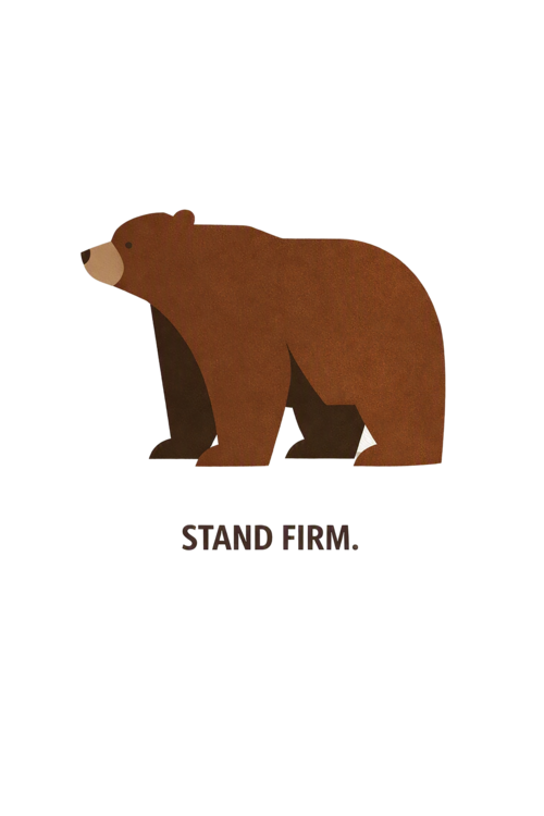 Koszulka Bear