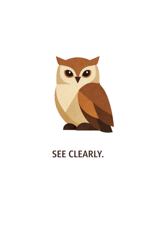 Tričkó Owl