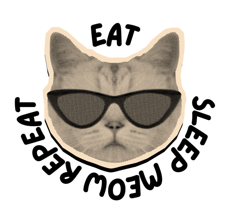 Футболка Cool Cat Eat Sleep Meow