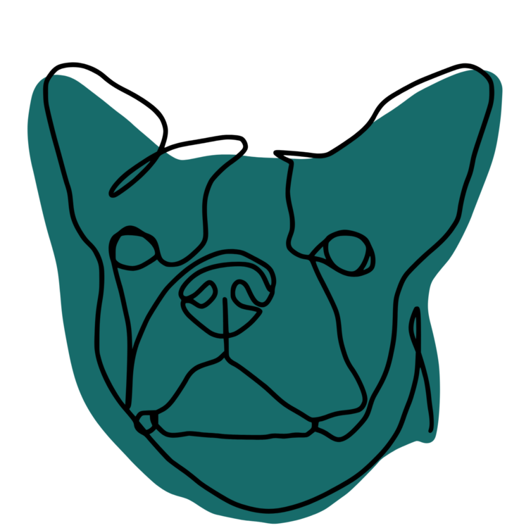 Camiseta Boston Terrier Dog Teal