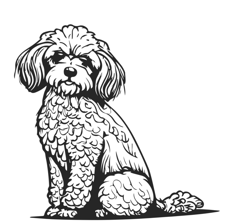 Camiseta Cockapoo Dog Sketch