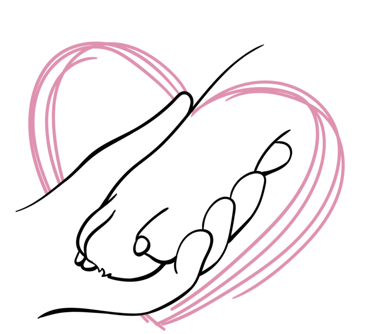 T-shirt Dog Paw Pink Heart
