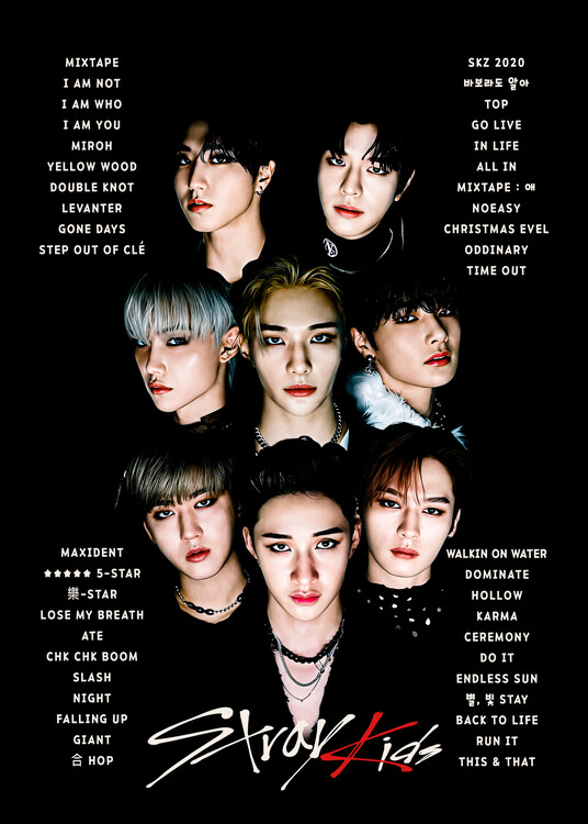 Poster Stray Kids Albums