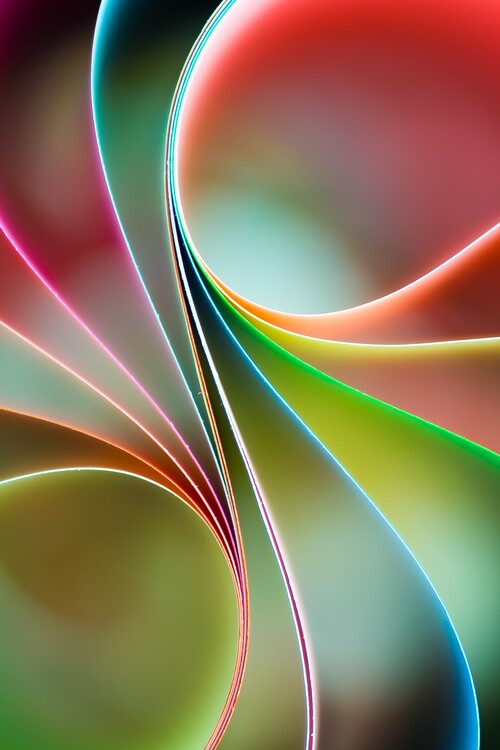 Poster Vibrant Abstract Curves