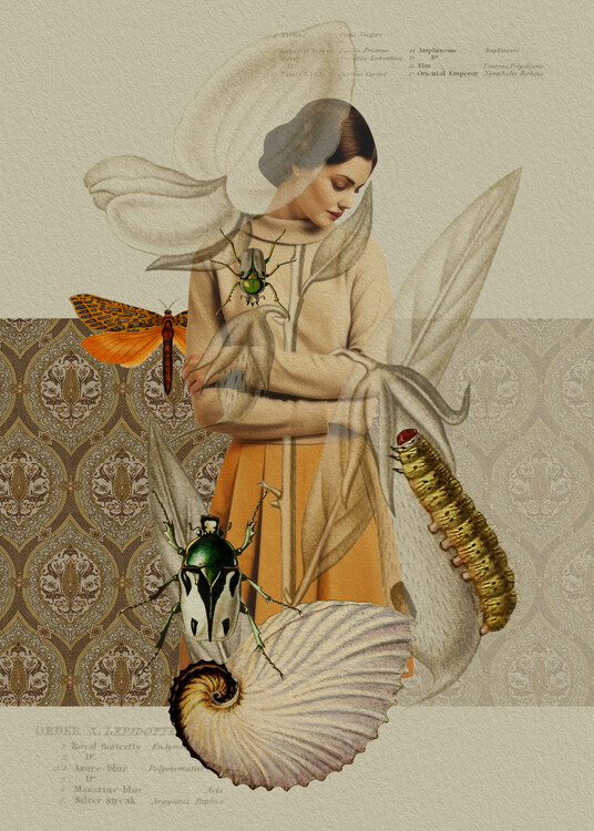 Plakat the girl and the flower