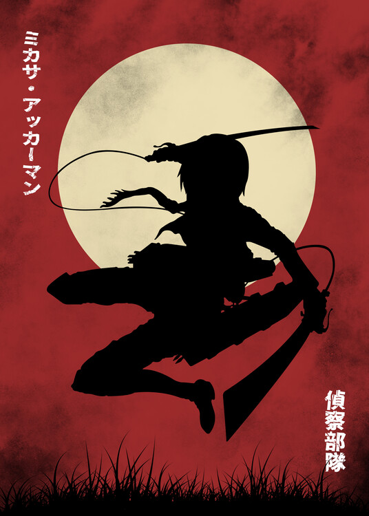 Плакат Mikasa