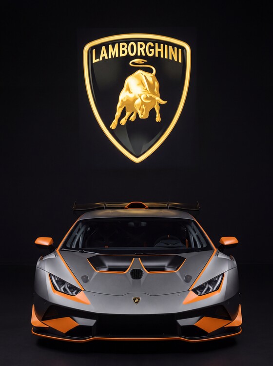 Poster Lamborghini | The Legacy of the Raging Bull