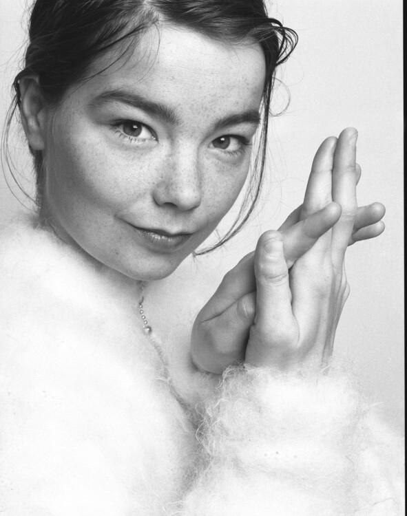 Plakát Björk