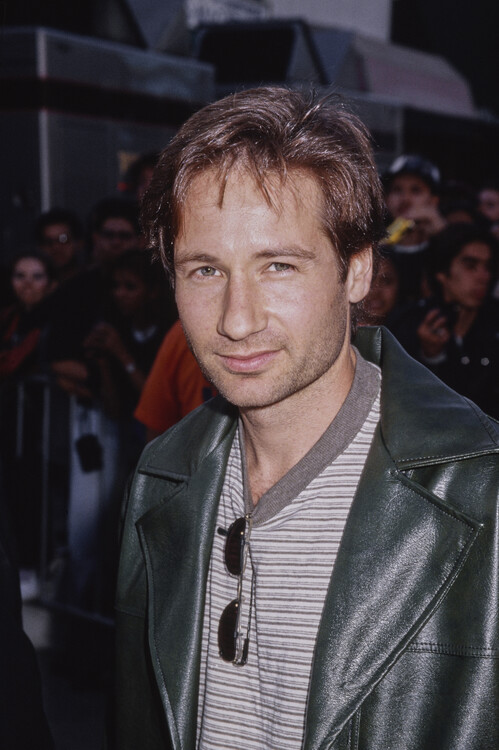 Plakát David Duchovny