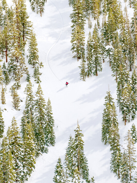 Plakát Forest Ski