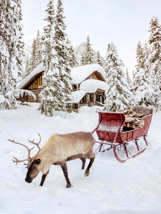 Plakát Winter Ride