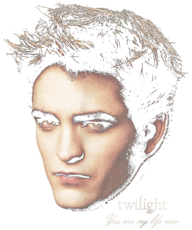 Tričko Twilight - Edward Portrait