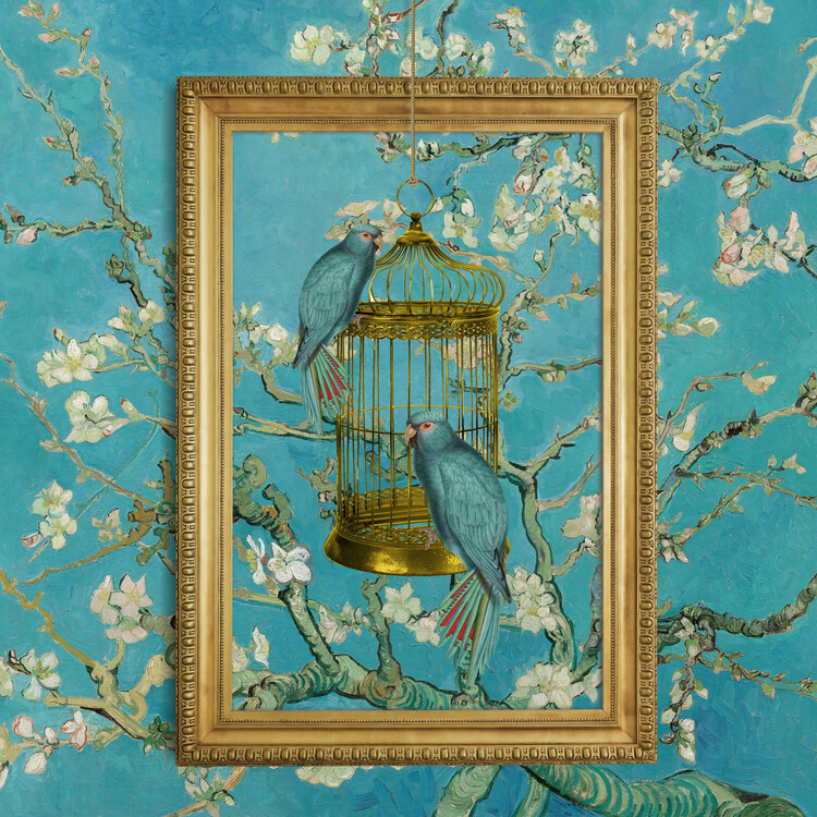 Samolepka Blue Parrots Almond Bloom