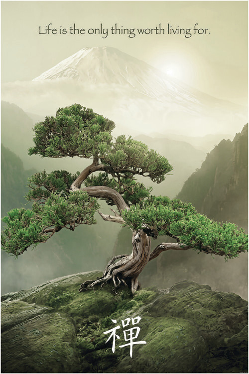 Plakát Tree of life