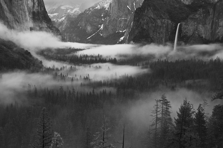 Poster Fog Floating In Yosemite Valley